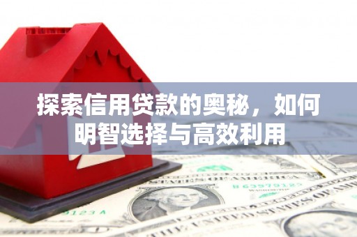 桑植探索信用贷款的奥秘，如何明智选择与高效利用