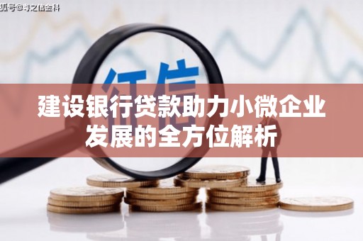 桑植建设银行贷款助力小微企业发展的全方位解析