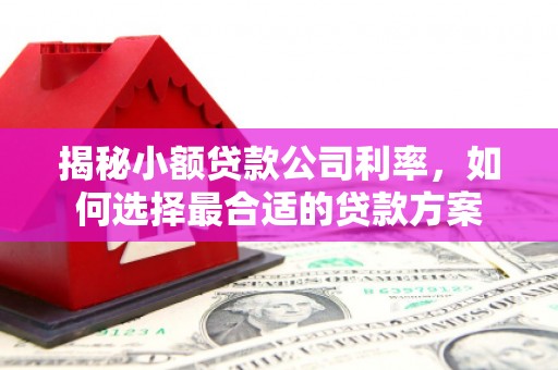 桑植揭秘小额贷款公司利率，如何选择最合适的贷款方案