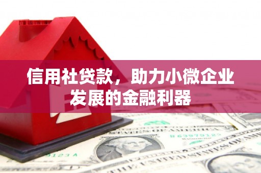 桑植信用社贷款，助力小微企业发展的金融利器