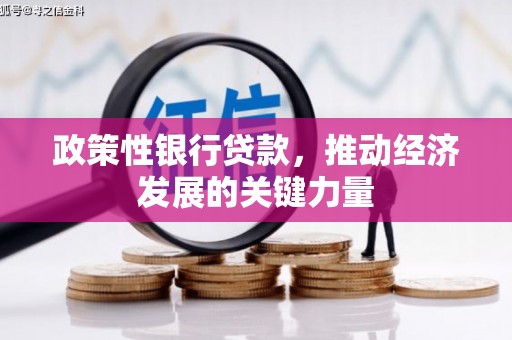 桑植政策性银行贷款，推动经济发展的关键力量