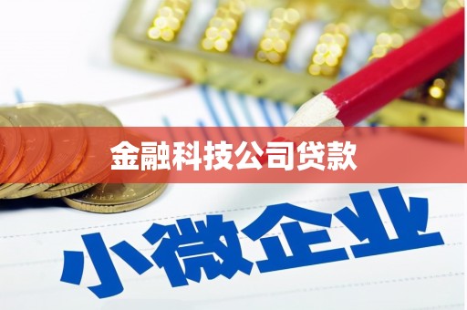 桑植金融科技公司贷款