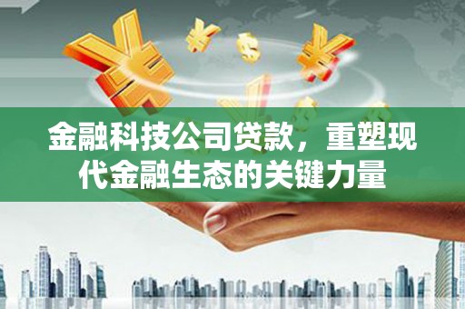 桑植金融科技公司贷款，重塑现代金融生态的关键力量