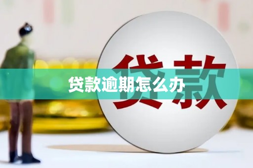 桑植贷款逾期怎么办