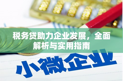 桑植税务贷助力企业发展，全面解析与实用指南