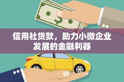 桑植信用社贷款，助力小微企业发展的金融利器