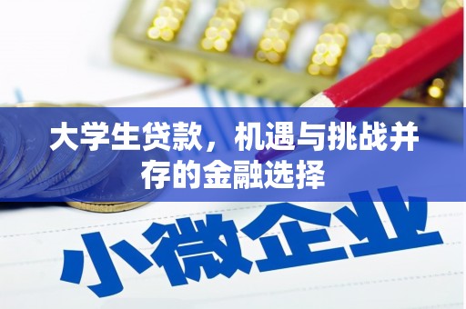 桑植大学生贷款，机遇与挑战并存的金融选择