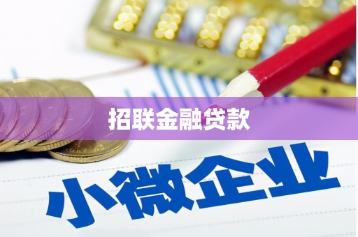 桑植招联金融贷款