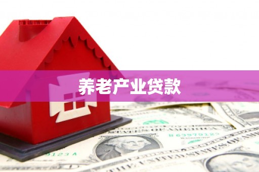 桑植养老产业贷款