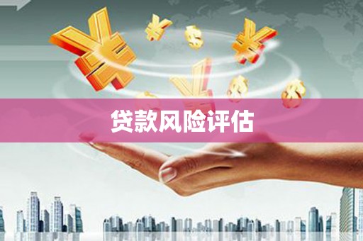 桑植贷款风险评估