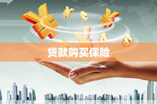 桑植贷款购买保险