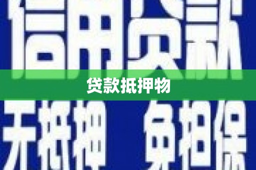 桑植贷款抵押物