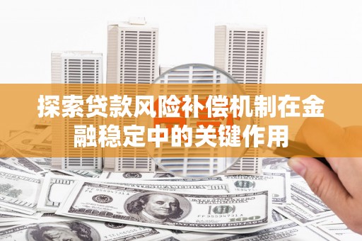桑植探索贷款风险补偿机制在金融稳定中的关键作用