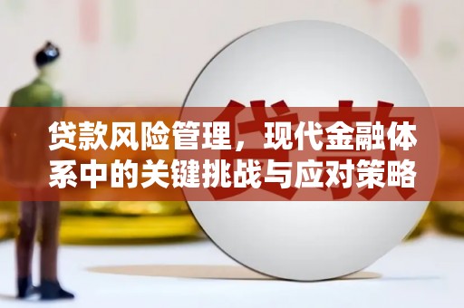 桑植贷款风险管理，现代金融体系中的关键挑战与应对策略