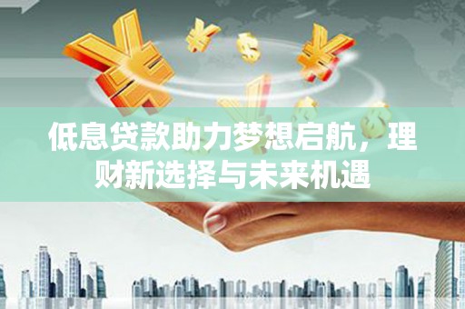 桑植低息贷款助力梦想启航，理财新选择与未来机遇