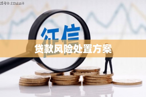 桑植贷款风险处置方案