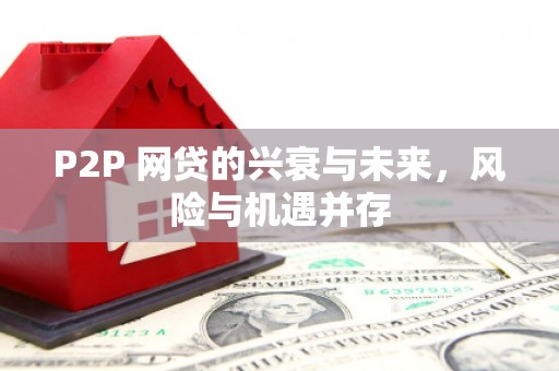 桑植P2P 网贷的兴衰与未来，风险与机遇并存