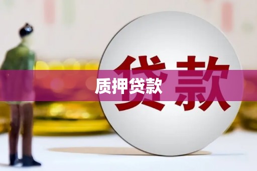 桑植质押贷款