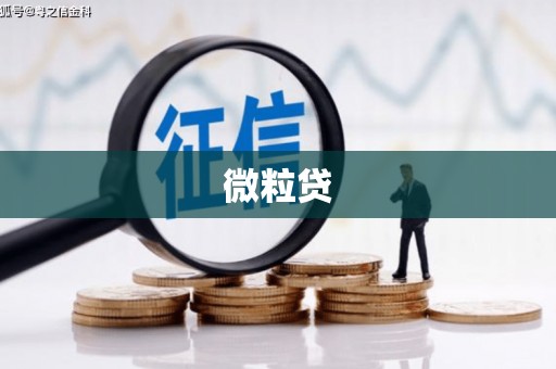 桑植微粒贷