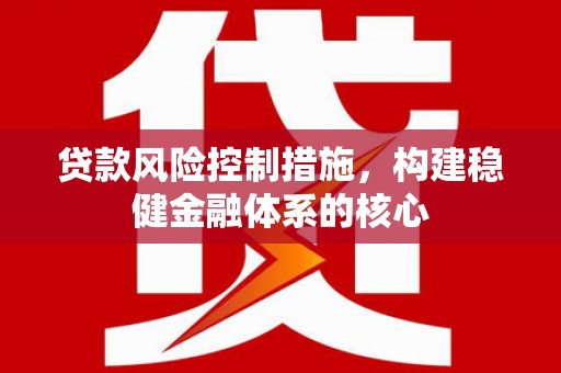 桑植贷款风险控制措施，构建稳健金融体系的核心