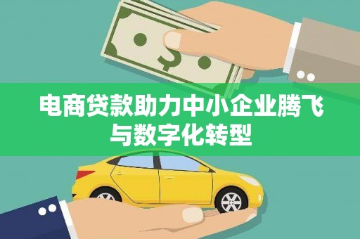 桑植电商贷款助力中小企业腾飞与数字化转型