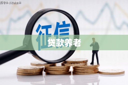 桑植贷款养老