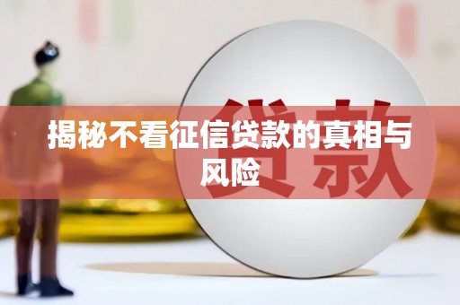 桑植揭秘不看征信贷款的真相与风险