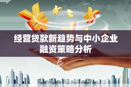 桑植经营贷款新趋势与中小企业融资策略分析