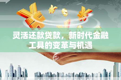 桑植灵活还款贷款，新时代金融工具的变革与机遇