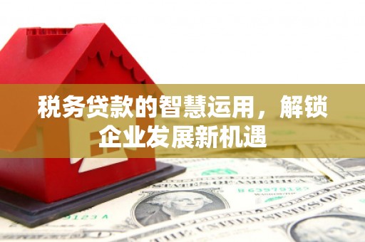 桑植税务贷款的智慧运用，解锁企业发展新机遇