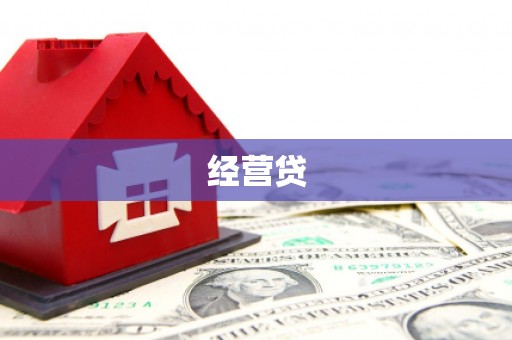 桑植经营贷