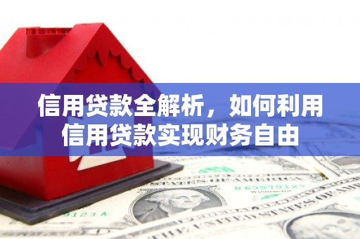 桑植信用贷款全解析，如何利用信用贷款实现财务自由
