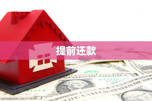 桑植提前还款