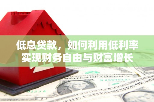 桑植低息贷款，如何利用低利率实现财务自由与财富增长